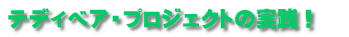 テディベア・プロジェクトの実践！　 